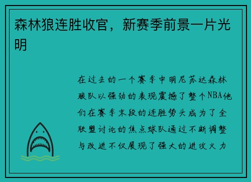 森林狼连胜收官，新赛季前景一片光明