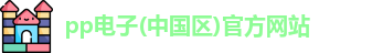 pp电子在线登录
